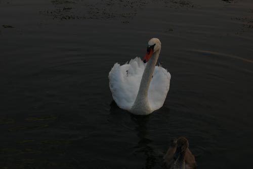 IMG_3822