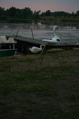IMG_3862