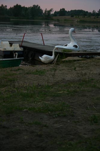 IMG_3863