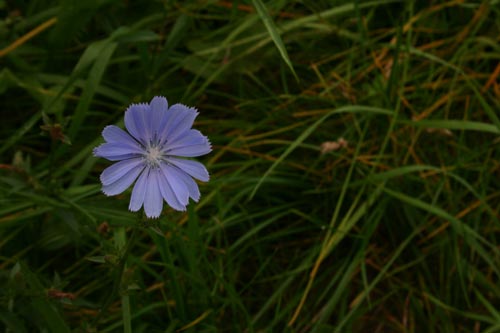 IMG_4191