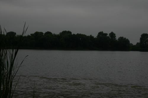 IMG_4207