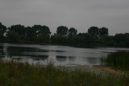 IMG_4221